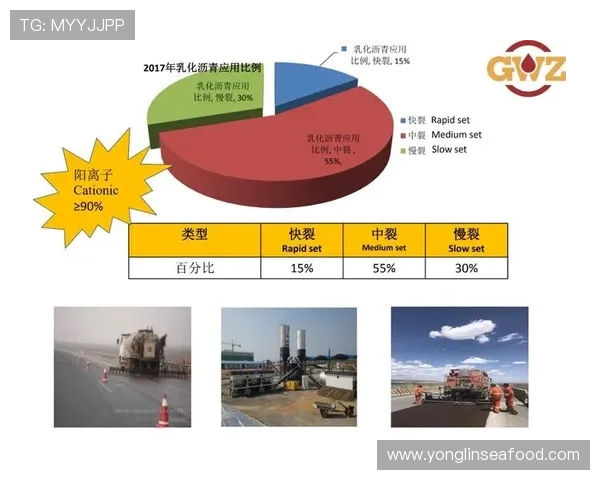 杭州篮球队边路渗透战术解析与实战应用探讨